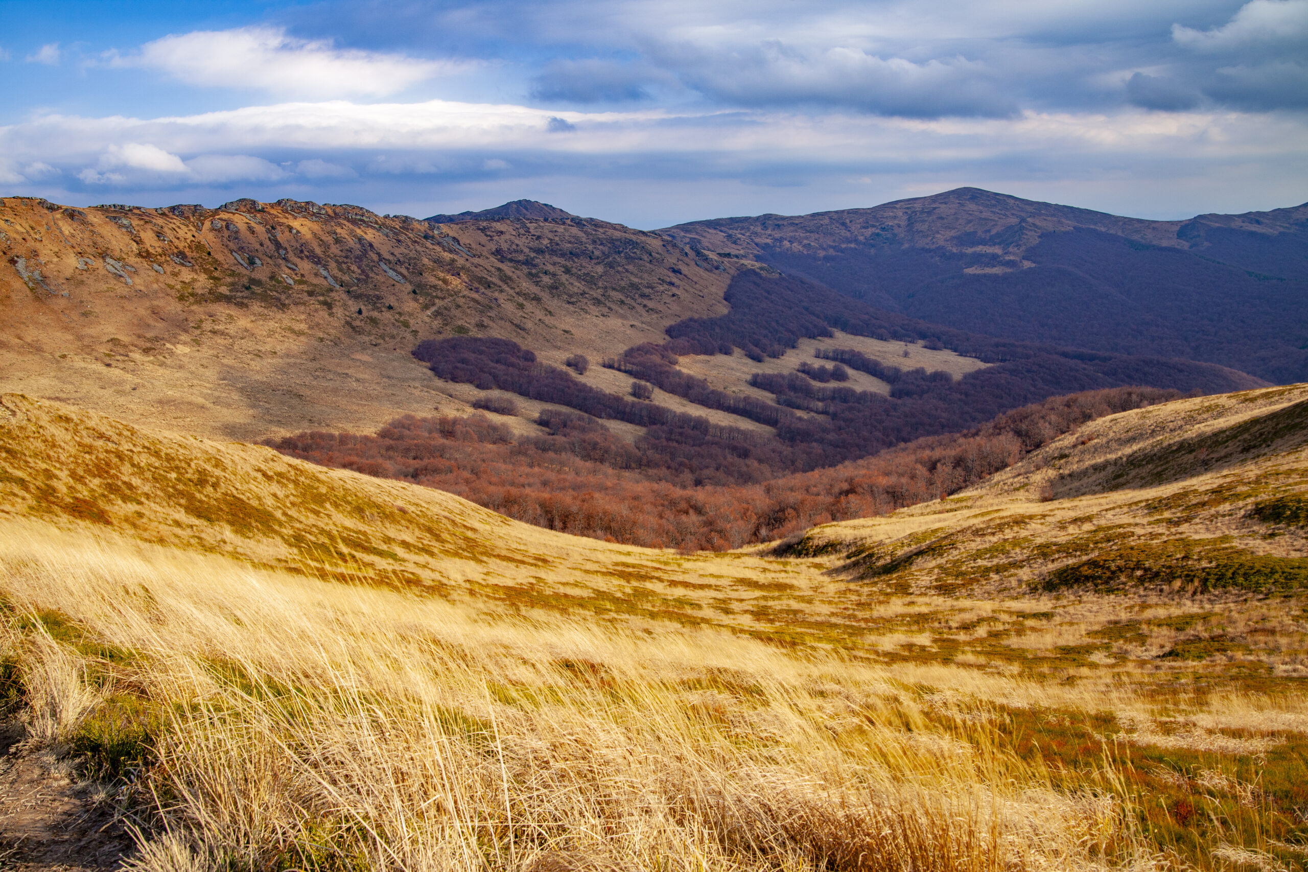 wynajem domków w bieszczadach