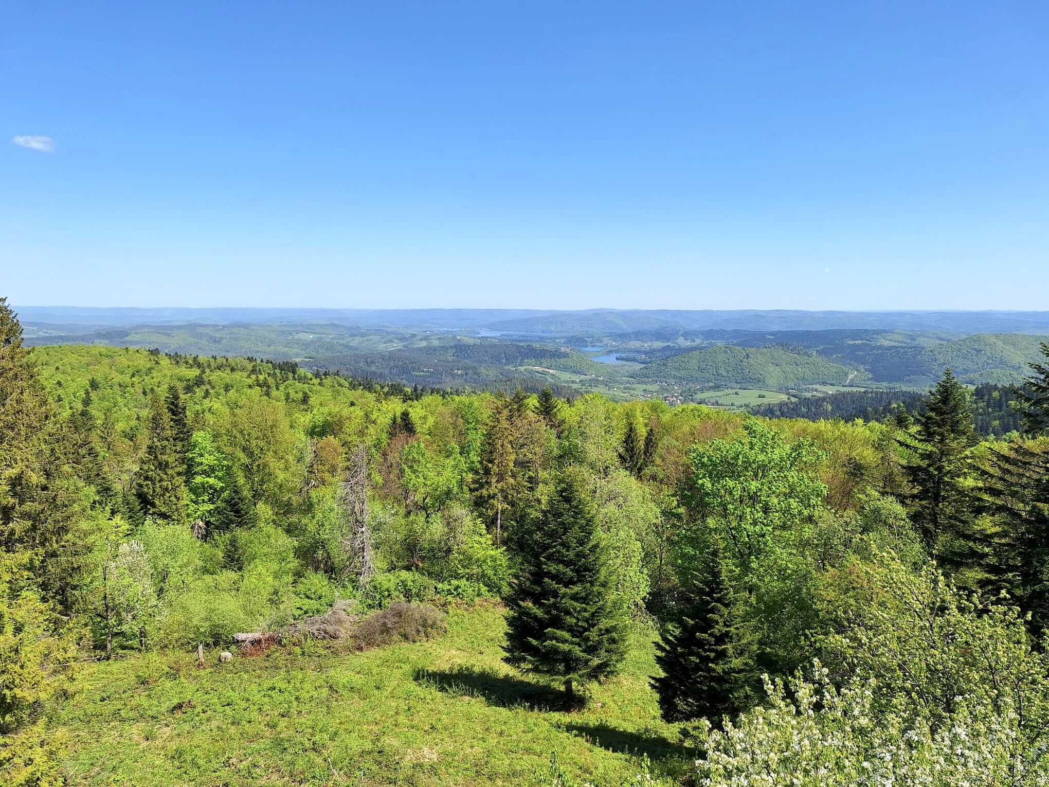 berezowka-bieszczady-5